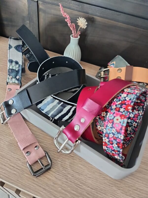 ceinture colorée